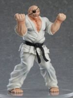 Vue 3/4 avant en plan d'ensemble de la figurine de Doppo Orochi de Baki en position Sanchin.