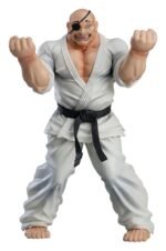 Vue de face en plan d'ensemble de la figurine de Doppo Orochi de Baki en position Sanchin.