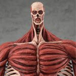 Vue de face avec plan rapproché moyen de la figurine du Colossal Titan d'Attack on Titan, sans vêtements, affichant des muscles.