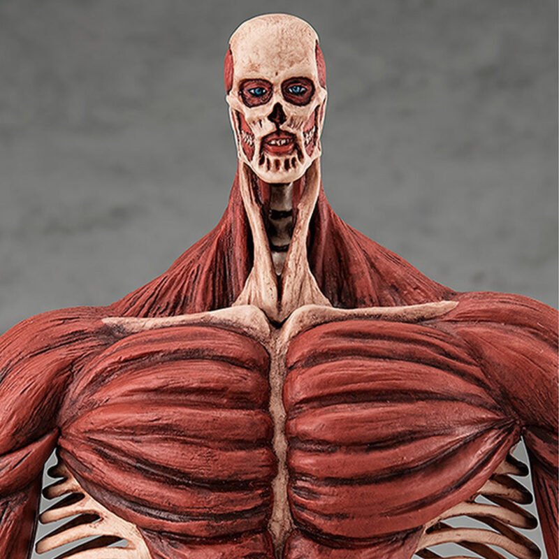 Vue de face avec plan rapproché moyen de la figurine du Colossal Titan d'Attack on Titan, sans vêtements, affichant des muscles.